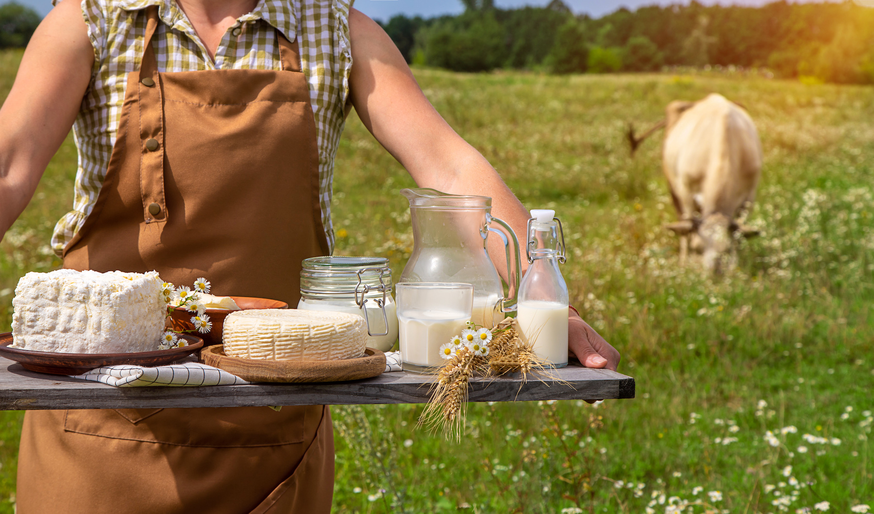 Мастер-класс "Секреты молока"