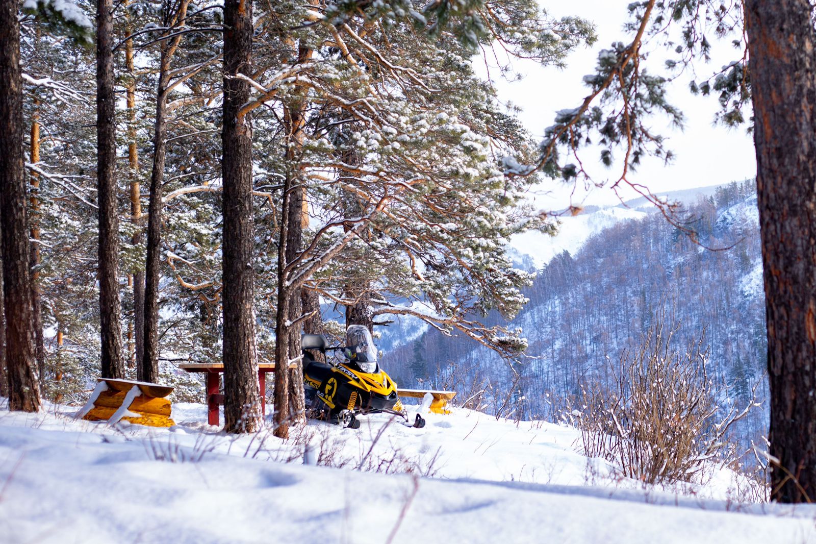 Прогулка на снегоходе по живописным просторам