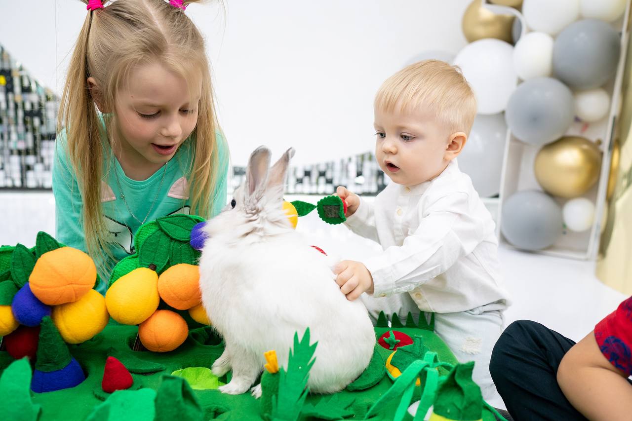 Стильный VIP-праздник в семейной студии