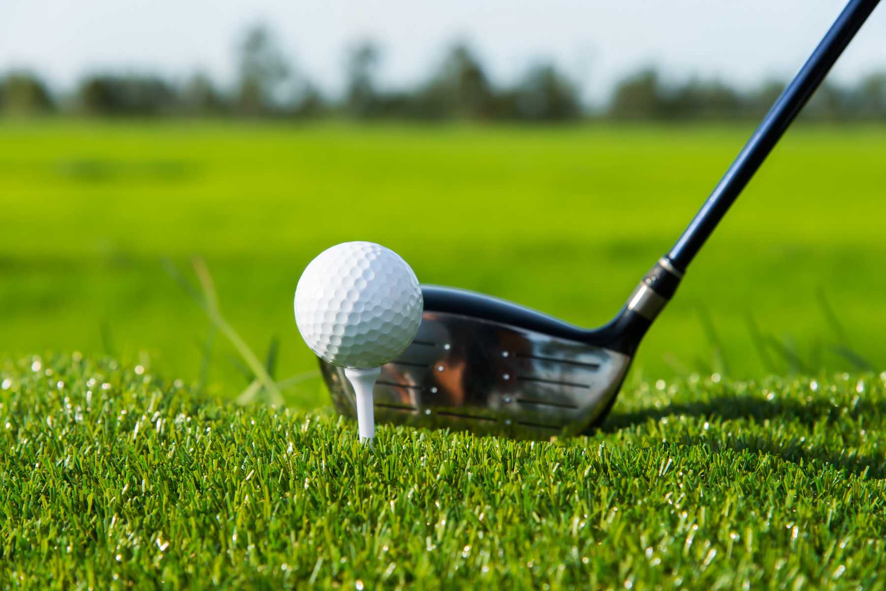 Индивидуальное занятие по гольфу