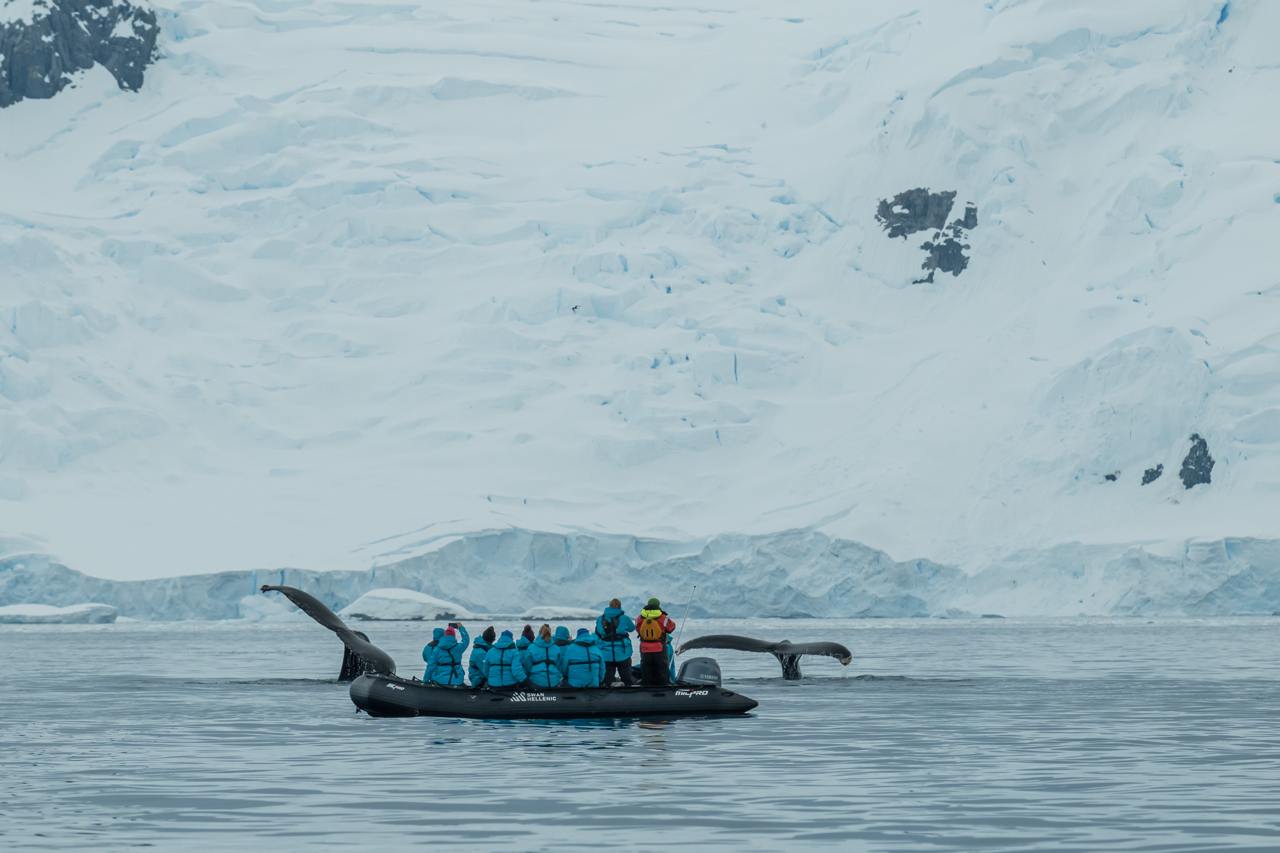 27 декабря 2025 - 07 января 2026 Новогодний тур в Антарктиду