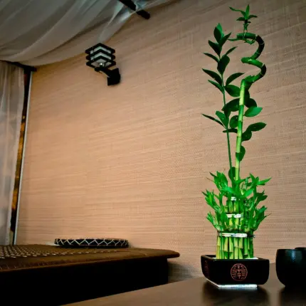 Романтическое СПА-свидание