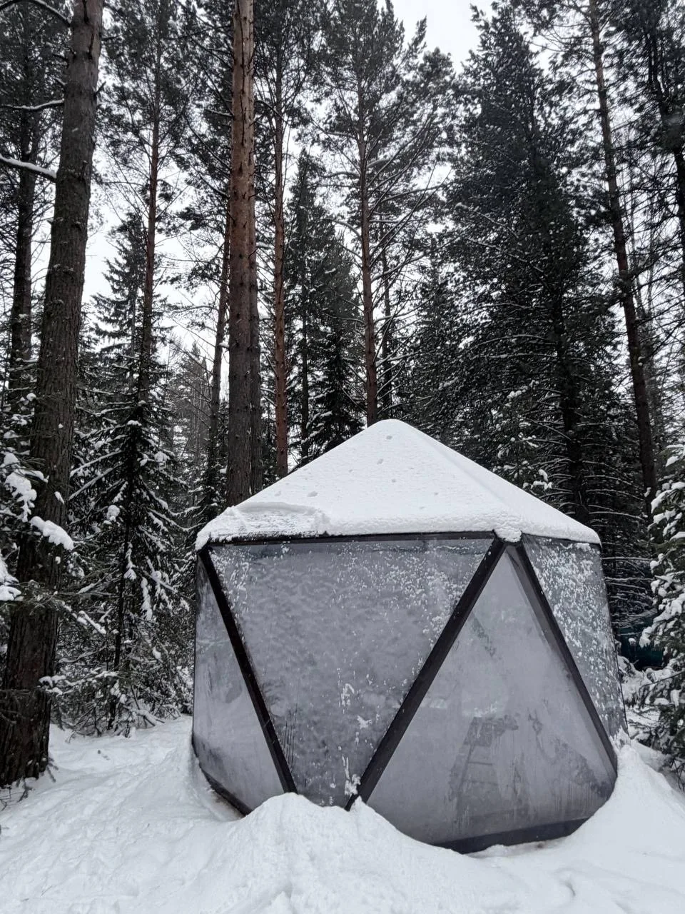 Тур "Активный день": снегоход + шашлык