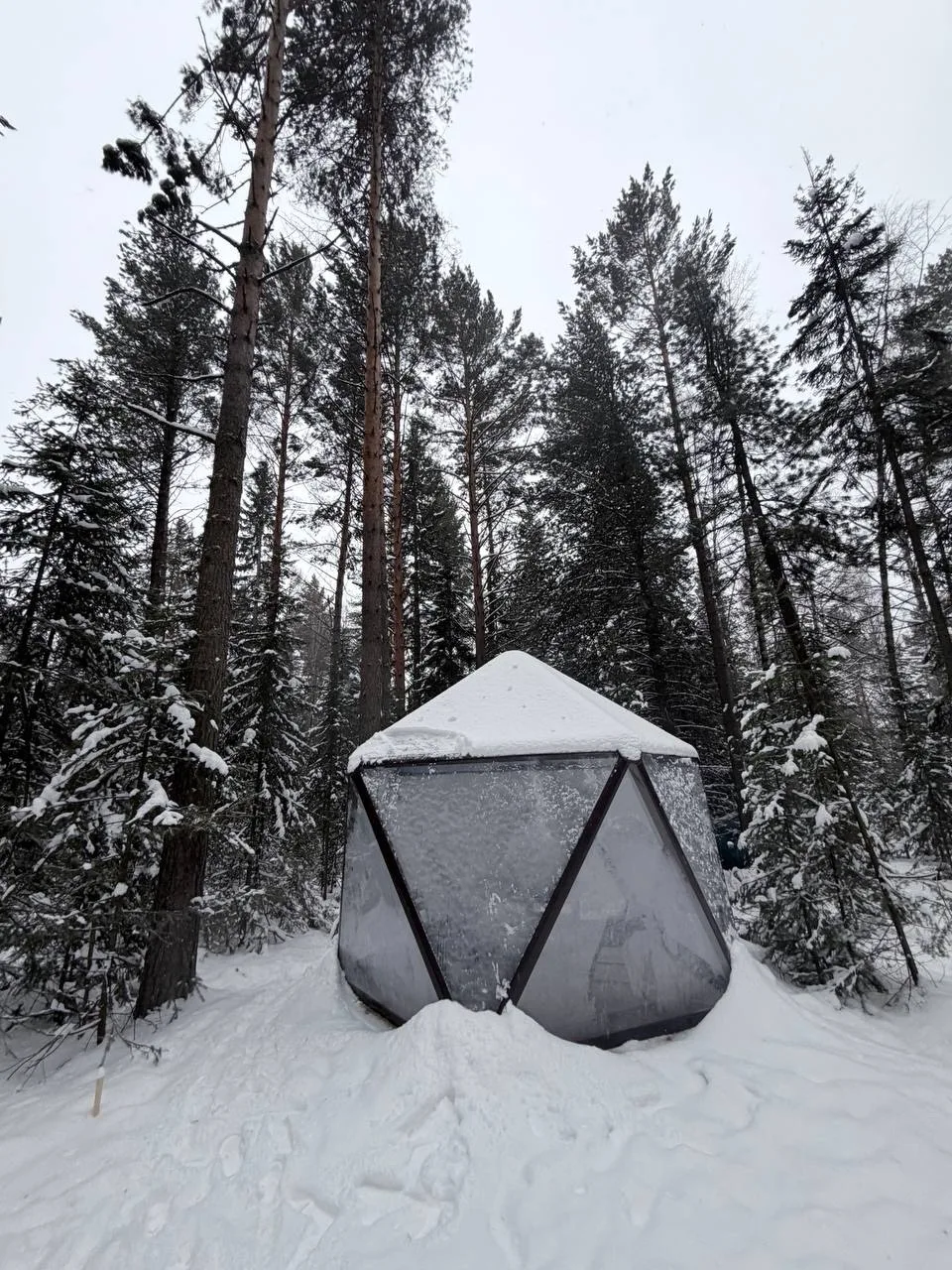 Тур "Активный день +": снегоход + шашлык