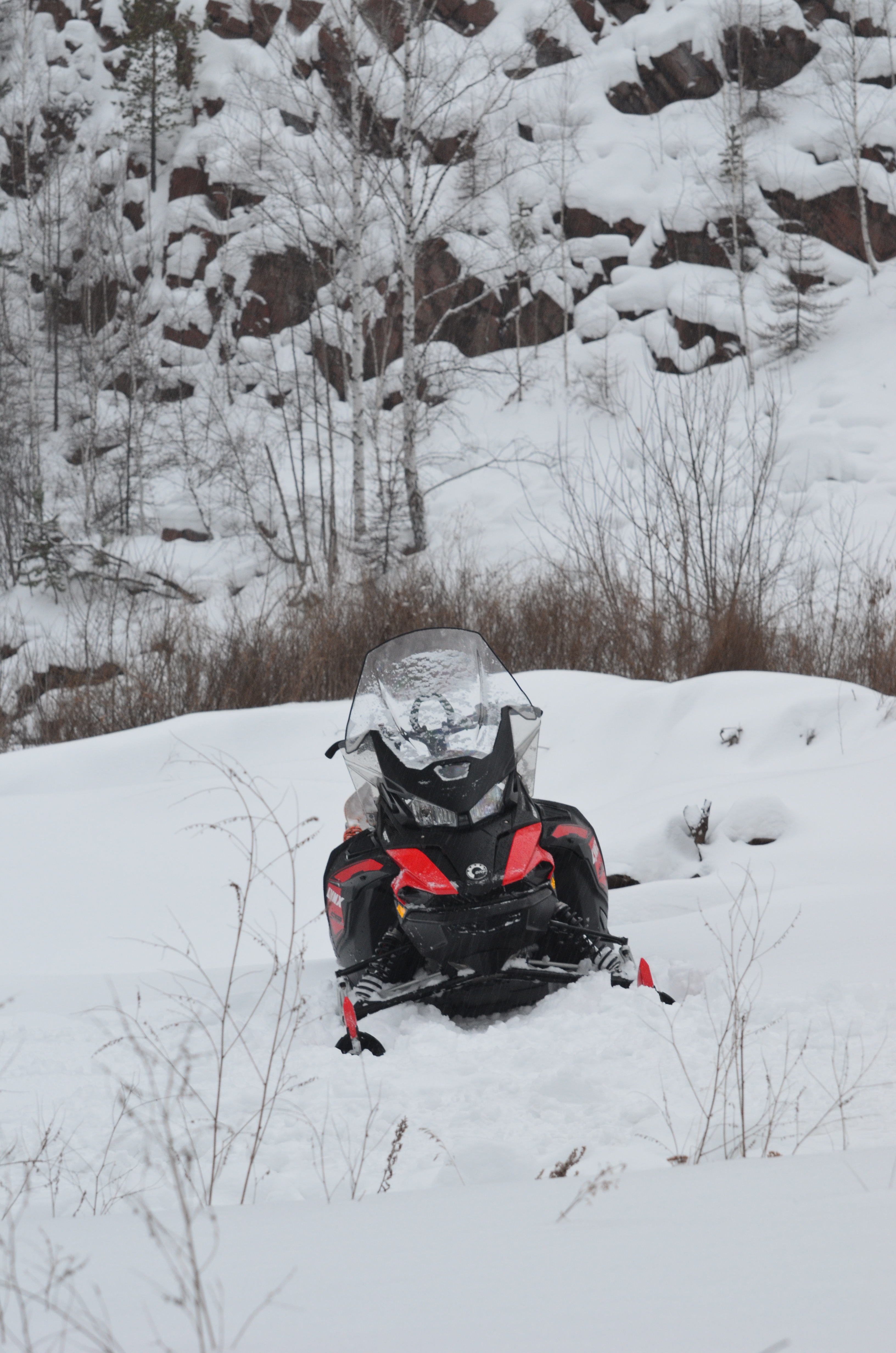Тур на снегоходах "Снежное путешествие +"