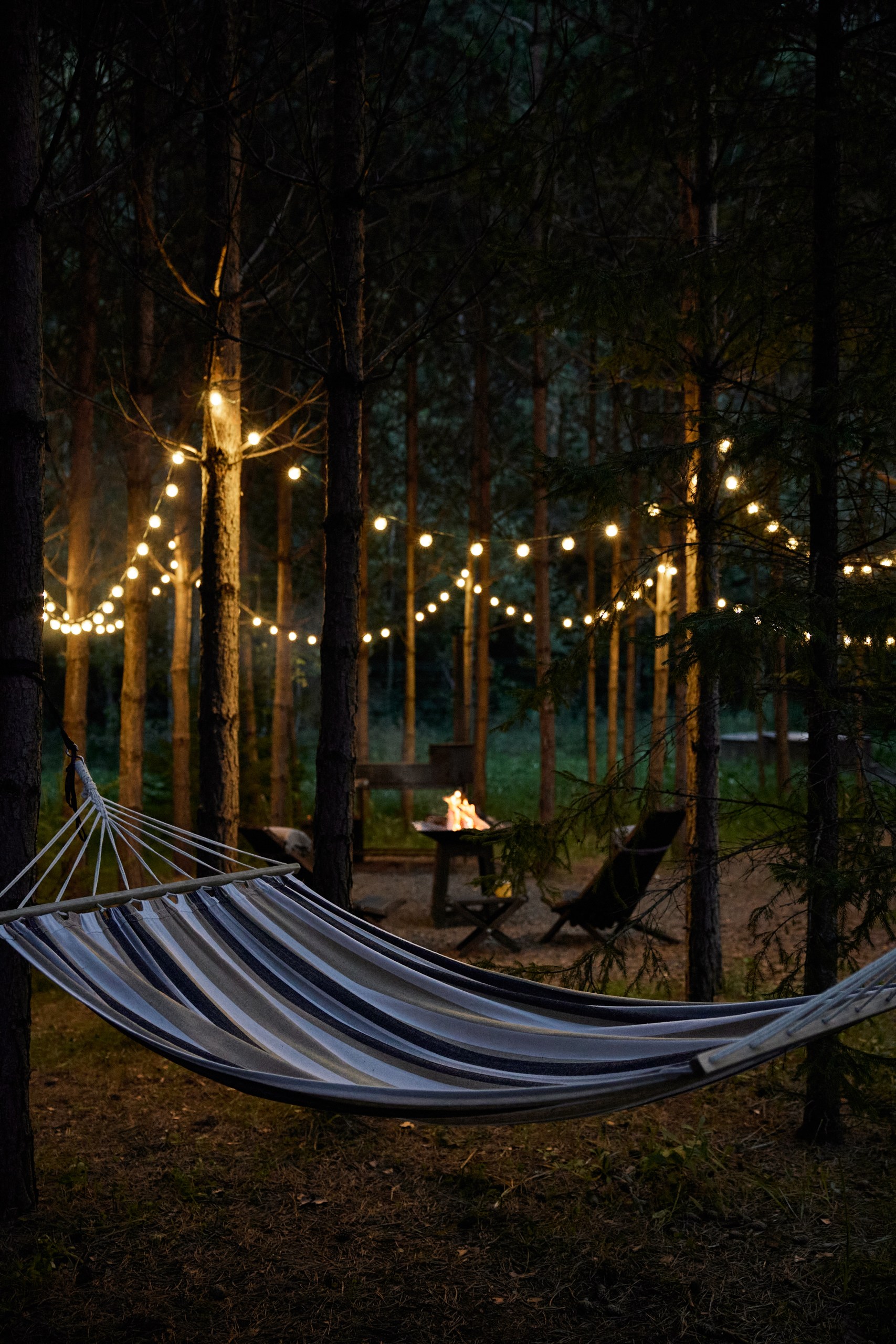 Аренда домика в лесу