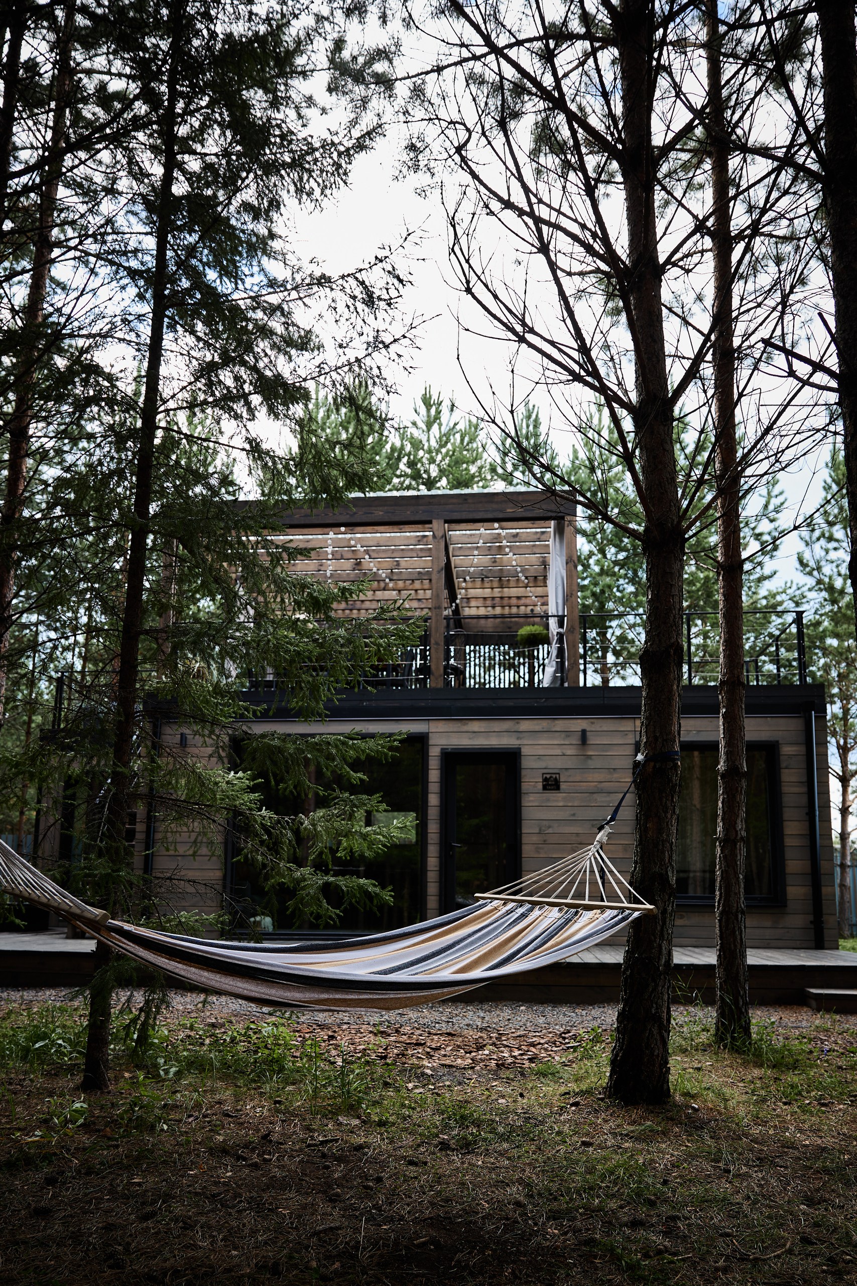 Аренда домика в лесу