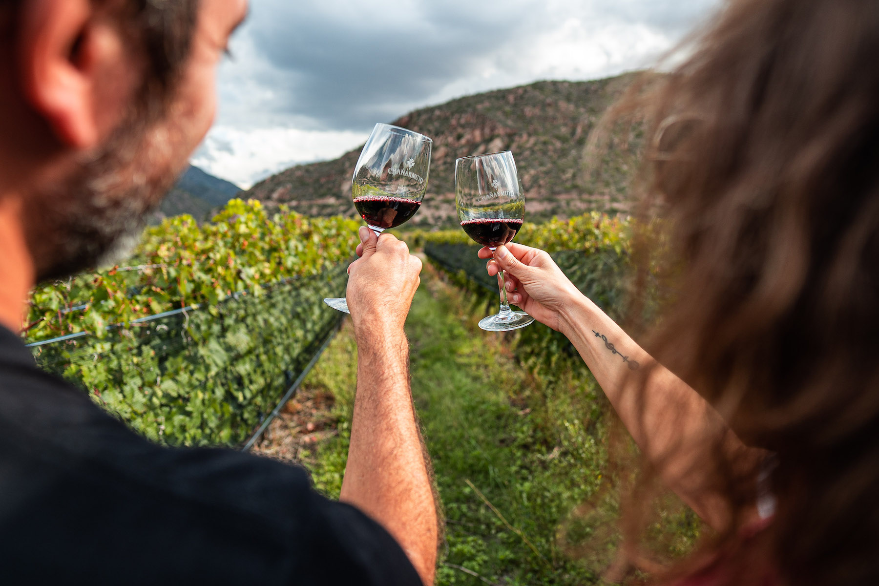 Винное путешествие