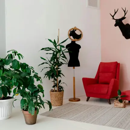 Семейная фотосессия в студии