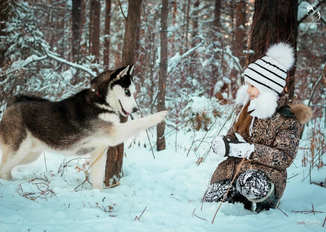 Недорогие, но запоминающиеся подарки - подборка от «МореЭмоций»